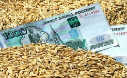 Ткачев: США лихорадит на фоне большого урожая в России